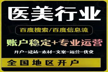 搜索引擎优化（SEO）与竞价广告（SEM）的对比案例